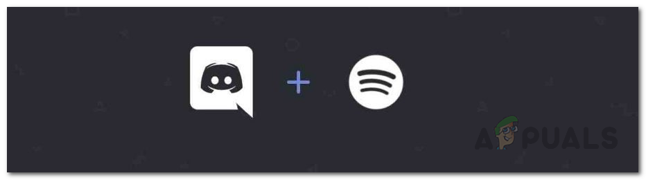 Как подключить spotify к discord