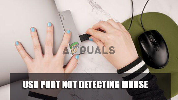 Порт USB не обнаруживает мышь?  Попробуйте эти исправления