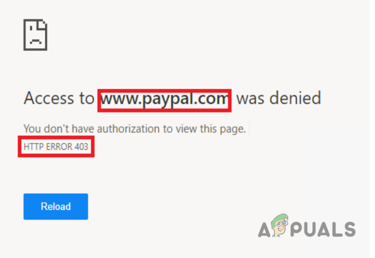Как исправить ошибку 403 Forbidden в PayPal